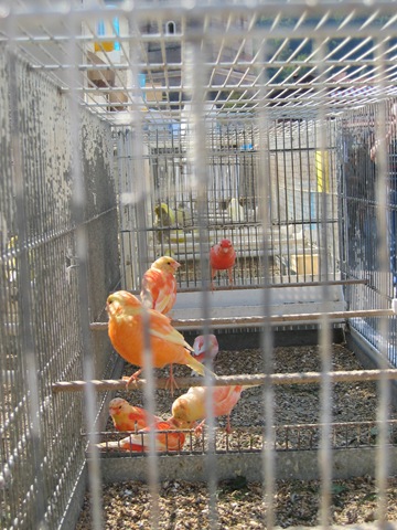 [IMG_44662.jpg]
