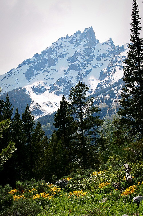 [DSC_5939[3].jpg]