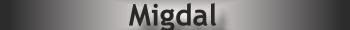 Migdal