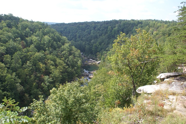 [September20081422.jpg]
