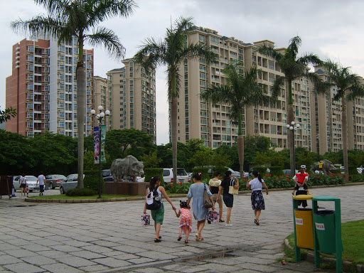 风景