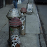 _DSC0042.NEF _DSC0042.NEF