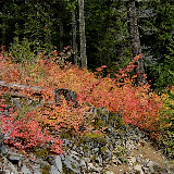 _DSC0002.JPG