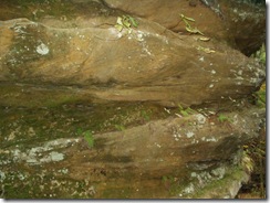 Hocking Hills 1008 (16)