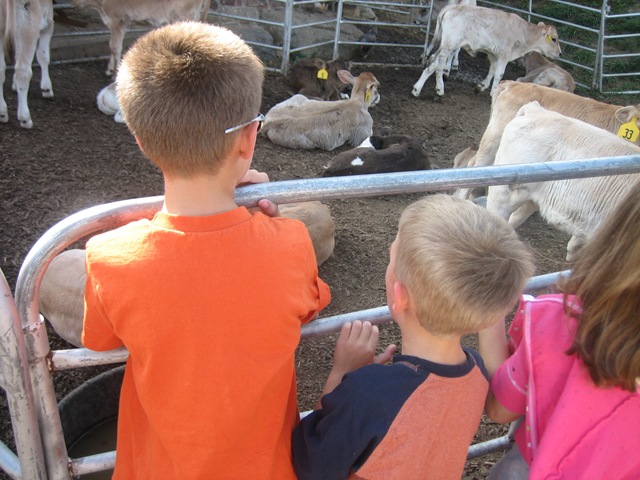 [October2020080173.jpg]