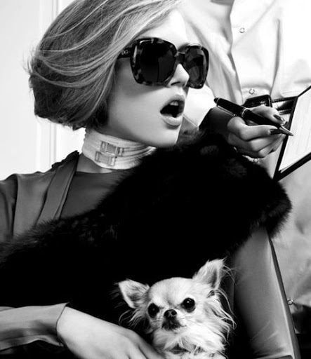 gafas glamour