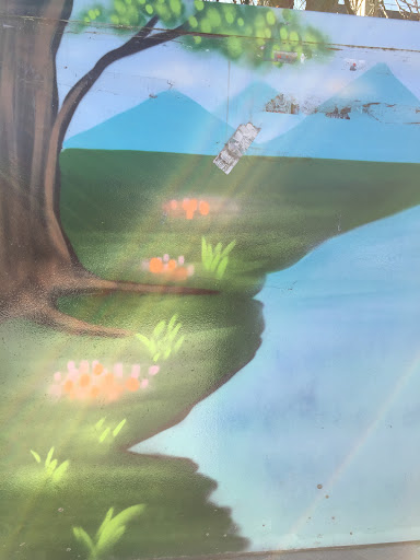 Tree And Pond Service Box Mural