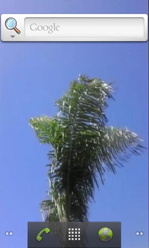 eScape Palm Tree FREE