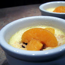 Apricot Custards