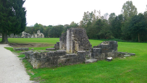 Ruine Abbaye Vauclair