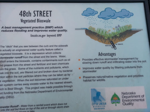 48th Street Vegetated Bioswale