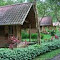 Arenal-OasisEcoLodge