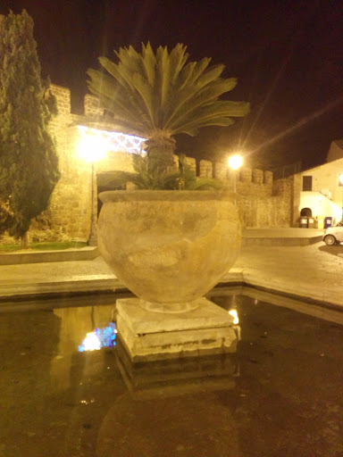 Fontana Vaso Palma Ceretano