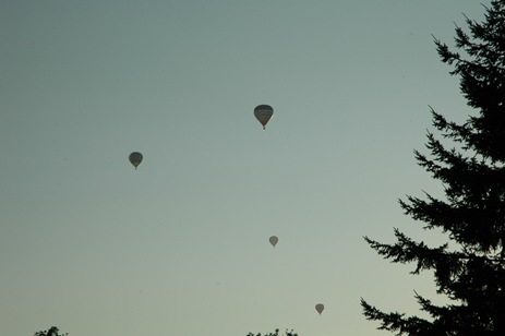 [DSC_89112.jpg]