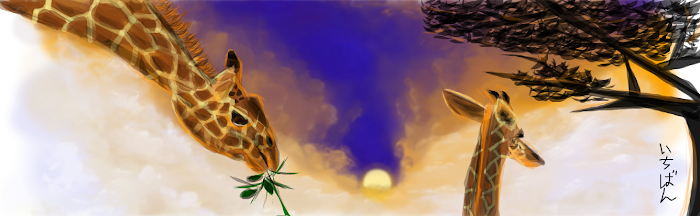Safari