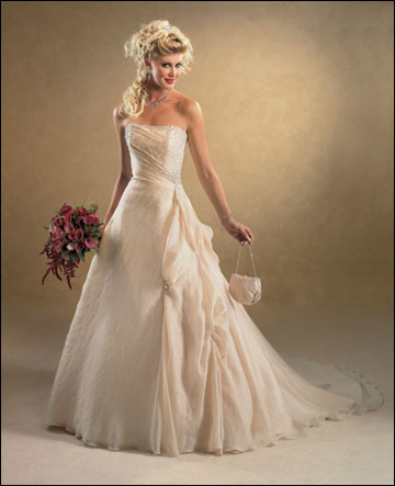 http://lh6.ggpht.com/sahabat001/SLaPqoHVanI/AAAAAAAAADE/ktY9CZH9WRA/wedding-dress.jpg