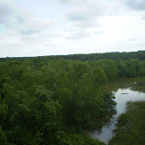 Taman Alam