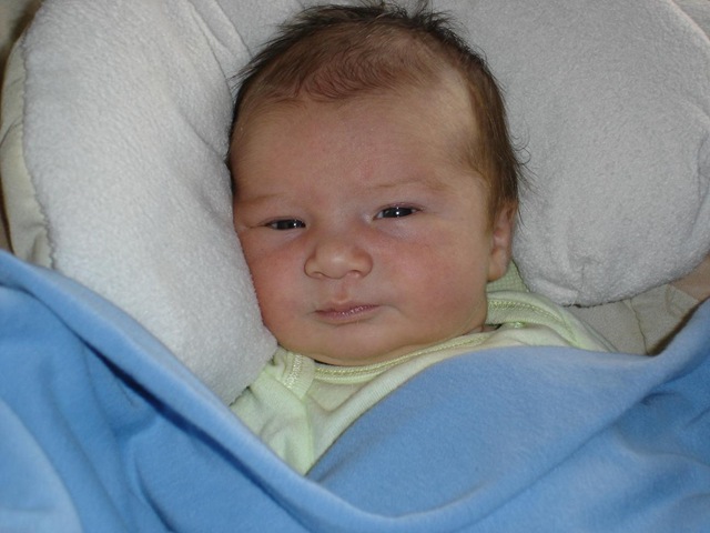 [DSC00602_small[2].jpg]