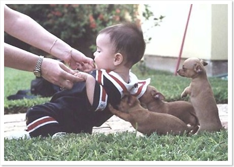 puppies-help-lift-baby
