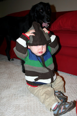 Quinn hates hoods.