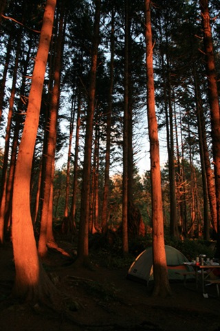 [IMG_41934.jpg]