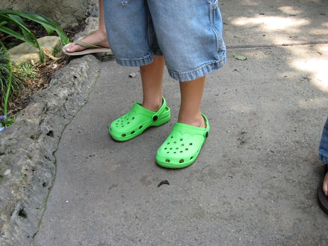 [greencrocs2.jpg]