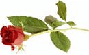 تصویر: http://lh6.ggpht.com/sashpaz/SOhL9s9XwoI/AAAAAAAAAgA/9F_j-ksEUKk/Untitled3_thumb22.gif?imgmax=800 تصویر: http://lh6.ggpht.com/sashpaz/SOhL9s9XwoI/AAAAAAAAAgA/9F_j-ksEUKk/Untitled3_thumb22.gif?imgmax=800