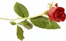 تصویر: http://lh6.ggpht.com/sashpaz/SOhMBRgsfcI/AAAAAAAAAgI/aJ4urswiWzc/Untitled3_thumb17.gif?imgmax=800