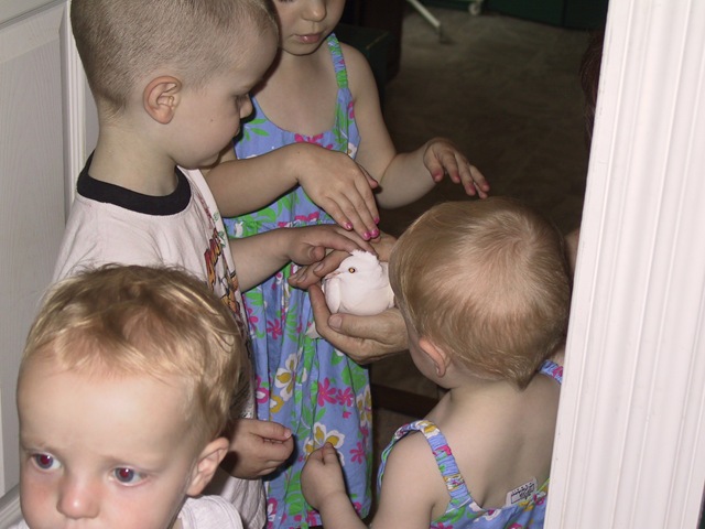 [IMG_72733.jpg]