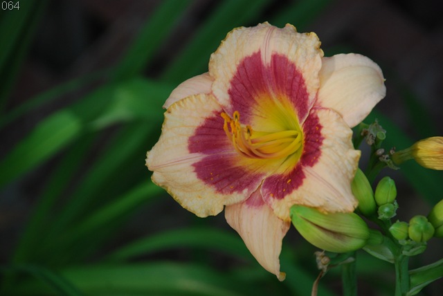 [2008 Summer064[6].jpg]