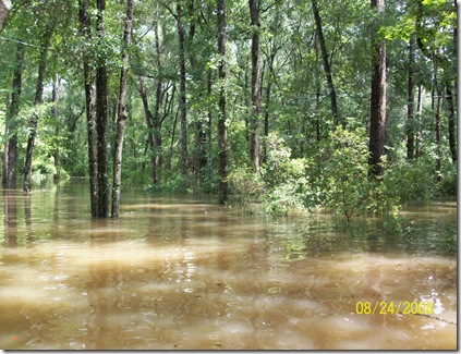 storm2008 084