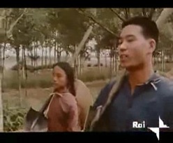 暴风截屏20080524162832