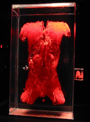 [bodies3[5].jpg]