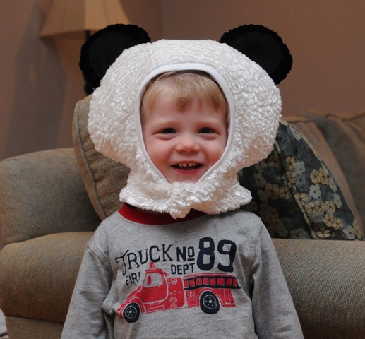 [panda_hood[1].jpg]