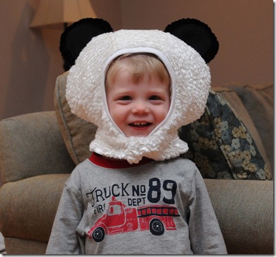 panda_hood