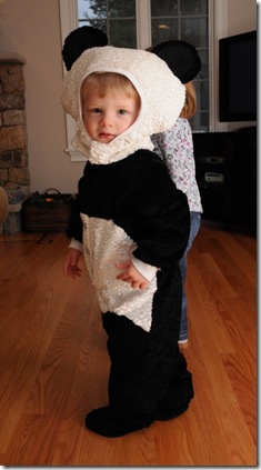 panda_side