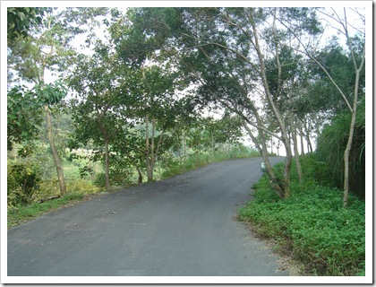 DSC07543