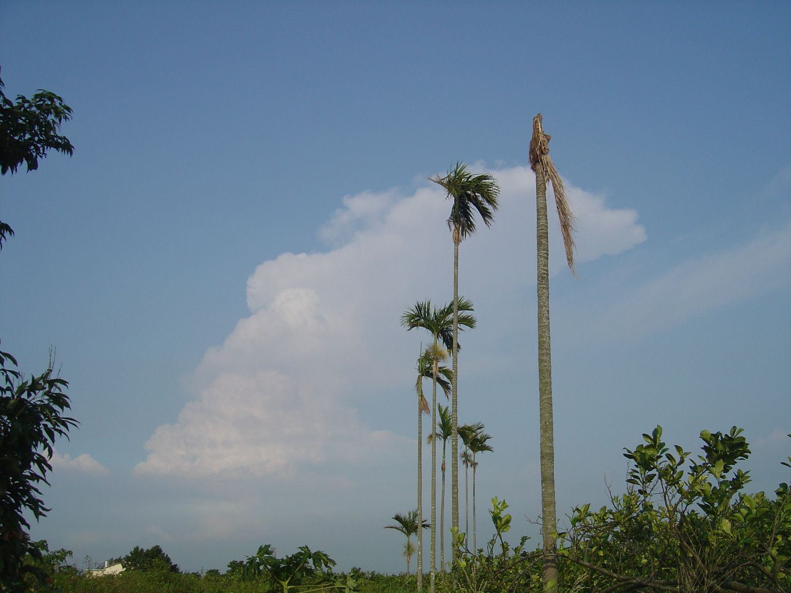 [DSC07556.jpg]