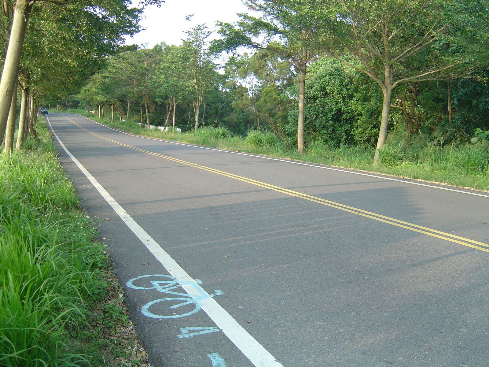 [DSC07560.jpg]