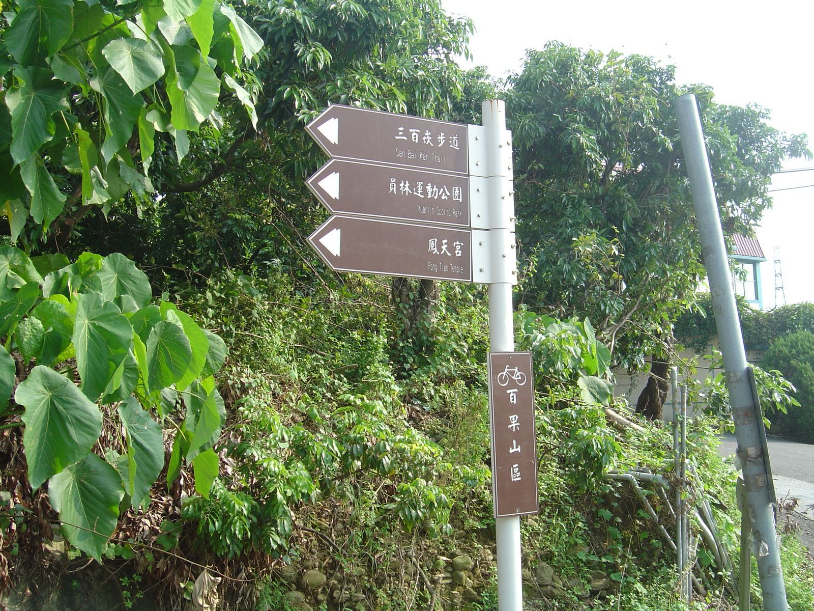 [DSC07538.jpg]