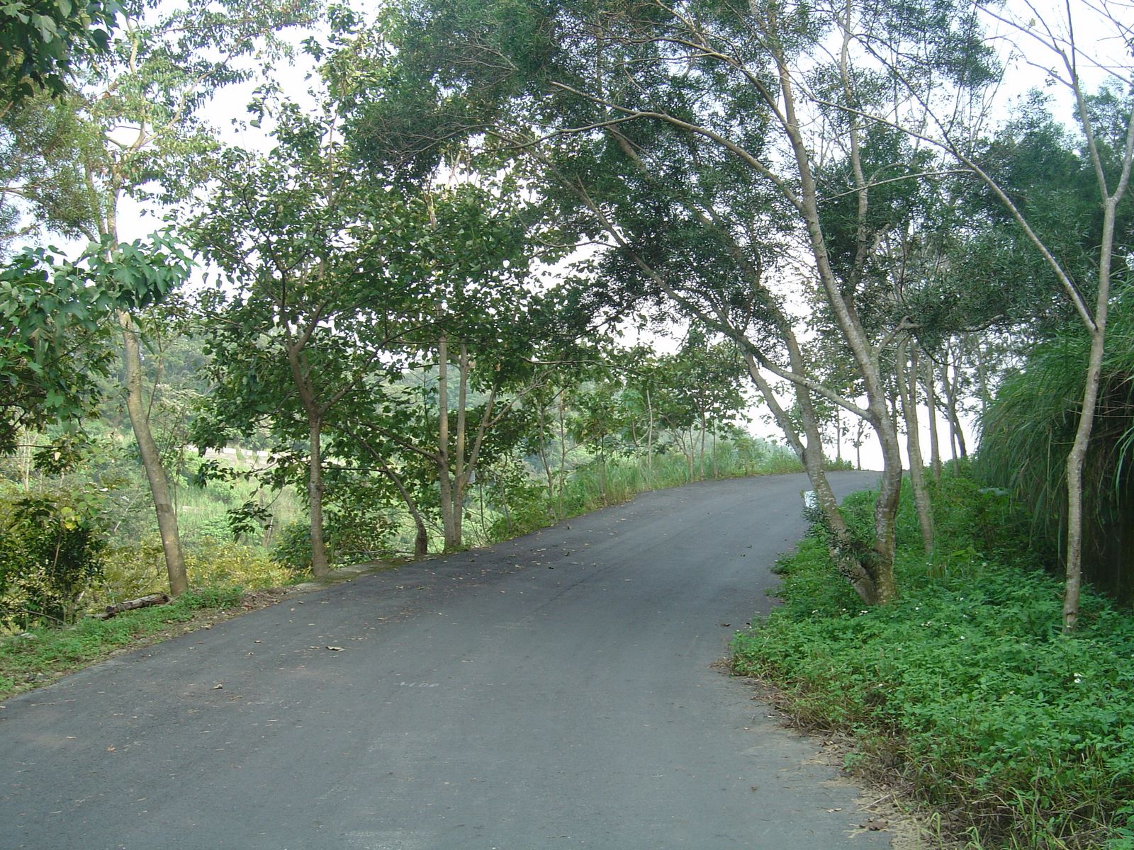 [DSC07543.jpg]