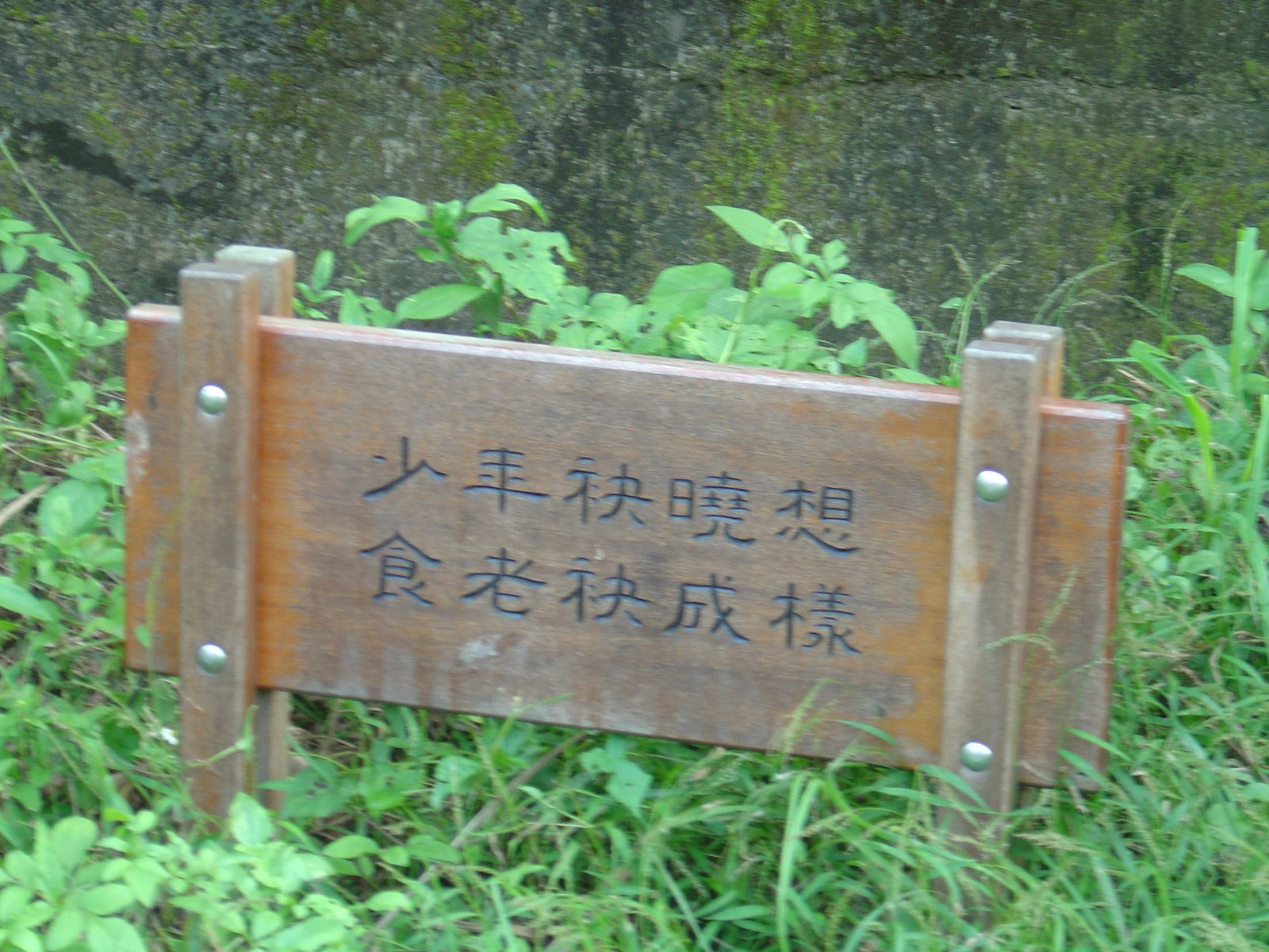 [DSC07544.jpg]