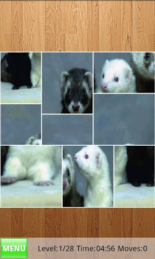 Ferrets Jigsaw Puzzles