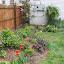 Shane's Backyard garden