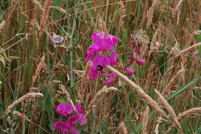 [July 2008 361[2].jpg]