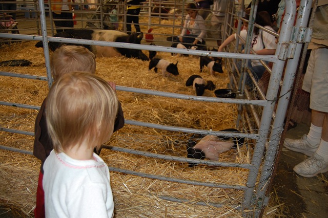 [July 2008 263[2].jpg]