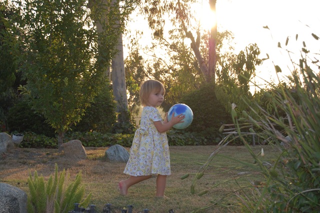 [July20082853.jpg]