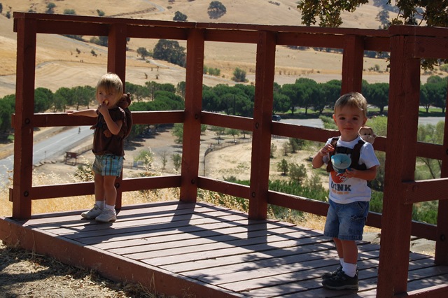 [August 2008 420[3].jpg]