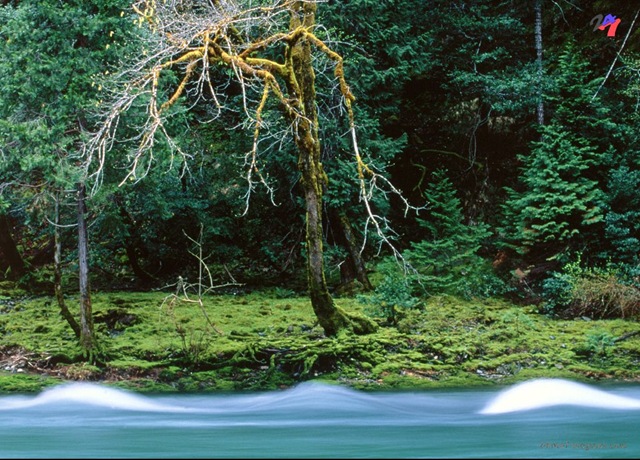 [National Geographic Wallpapers 056.jpg]