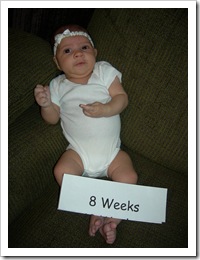 8 wks 013